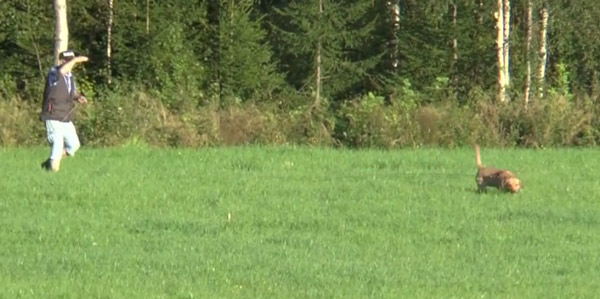 spara