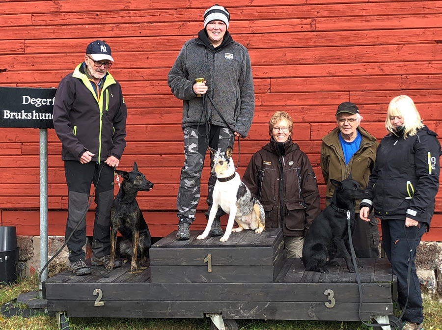 Segrade gjorde Maria Kohlscheen med Oneway´s Lita Ford.
Tvåa Ulf Jerneståhl med Brindle Brinna och
Trea Sofie Dahlriksson med Lilla Primtorgets Tiwas.